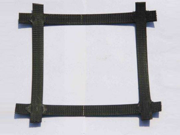 c(din)鿴Ԕ(x)Ϣ(bio)}ϣPP xΔ(sh)6174